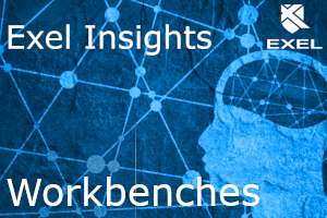 Exel Insights Workbenches